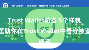 Trust Wallet防盗 5个样貌匡助你在Trust Wallet中看守被盗